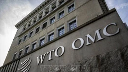 WTO nỗ lực giải quyết căng thẳng thương mại toàn cầu