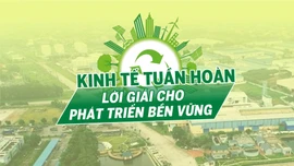 Tin tức TV: Kinh tế tuần hoàn - Lời giải cho phát triển bền vững