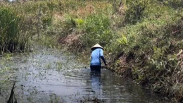 Truyền thông Đức phản ánh phương pháp nông dân Việt Nam ứng phó với biến đổi khí hậu