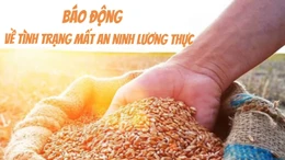 Tin tức TV: Báo động về tình trạng mất an ninh lương thực