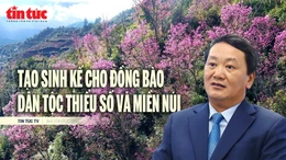 Tin tức TV: Tạo sinh kế, ổn định cuộc sống cho đồng bào dân tộc thiểu số và miền núi 