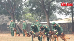 Trường Trung cấp 24 Biên phòng là trường duy nhất trong Quân đội đào tạo huấn luyện viên, huấn luyện chó nghiệp vụ theo 5 chuyên ngành, trong đó có chuyên ngành tìm kiếm cứu nạn.