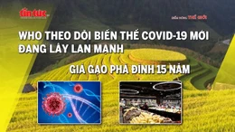 Tin tức TV: WHO theo dõi biến thể COVID-19 mới đang lây lan mạnh; Giá gạo phá đỉnh 15 năm