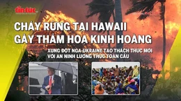 Tin tức TV: Cháy rừng ở Hawaii gây thảm hoạ kinh hoàng; xung đột tại Ukraine tạo thách thức mới với an ninh lương thực