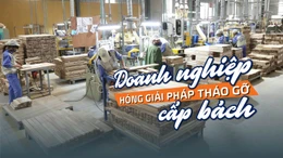 Tin tức TV: Doanh nghiệp 'hóng' giải pháp tháo gỡ cấp bách