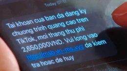 Lừa đảo trực tuyến tại Việt Nam tăng gần 65%