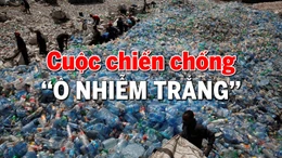 Tin tức TV: Cuộc chiến chống 'ô nhiễm trắng'