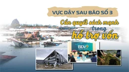 Tin tức TV: Vực dậy sau bão số 3: Cần quyết sách mạnh mẽ trong hỗ trợ vốn