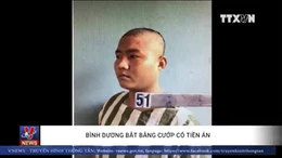 Bình Dương bắt băng cướp có tiền án