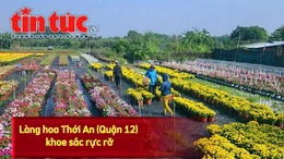 Làng hoa Thới An (Quận 12, TP Hồ Chí Minh) nhộn nhịp những ngày cận Tết.