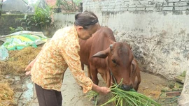 Hỗ trợ đa chiều để giảm nghèo bền vững